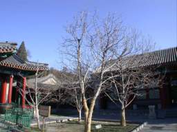 DSCN0129.JPG