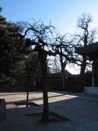 IMG_0027.JPG