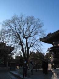IMG_0036.JPG