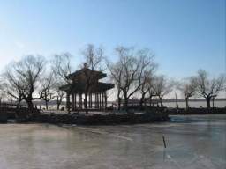 IMG_0037.JPG