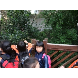 DSCF0439.JPG