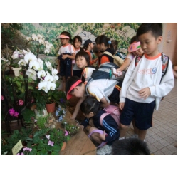 DSCF0470.JPG