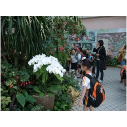 DSCF0471.JPG