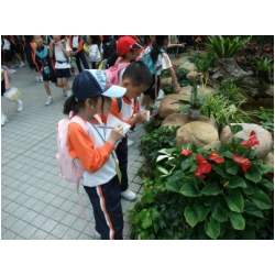 DSCF0477.JPG