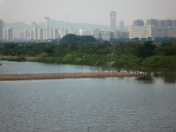 P1030088