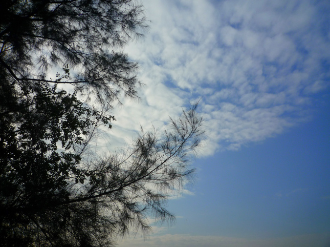 P1030099