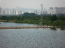 P1030088