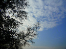 P1030099
