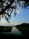 P1030101