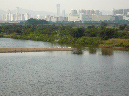 P1050984