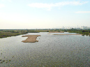 P1050989