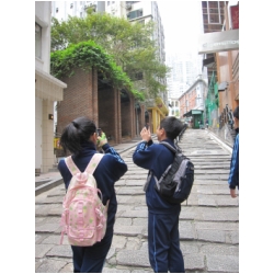 image001.jpg