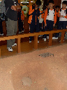 SDC11180