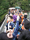 DSCN4400