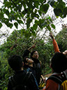 DSCN4412