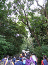 DSCN4424