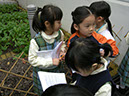 DSCN4517