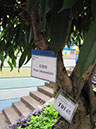 IMG_4197