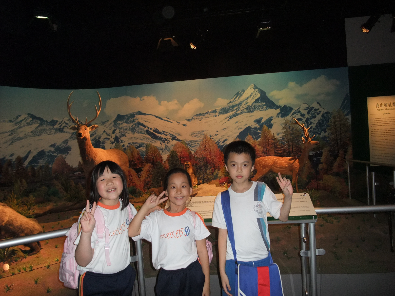 DSCF9941