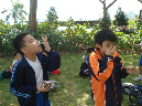 DSC08261