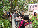 DSCF2444