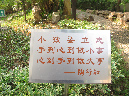 DSCN3526-