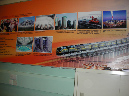DSCN3119