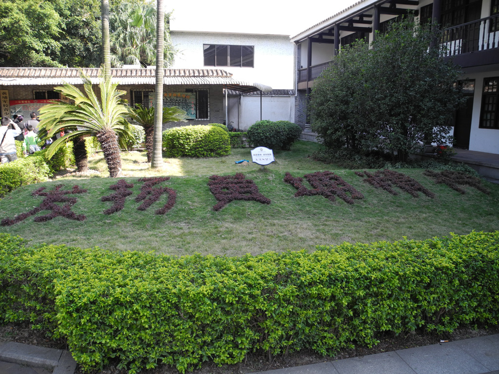 DSCN6174