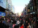 DSCN6037