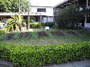 DSCN6174