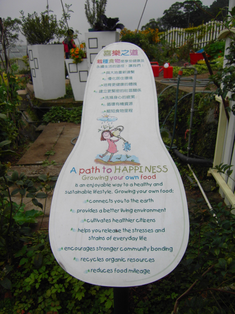 SDC16960