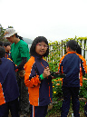 SDC16945