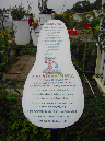 SDC16960