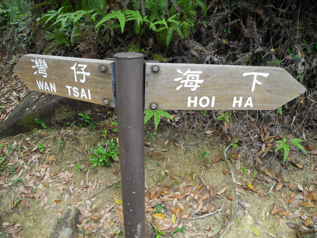DSCN7092