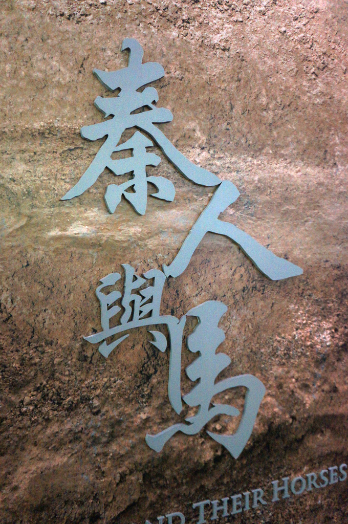 DSC06876
