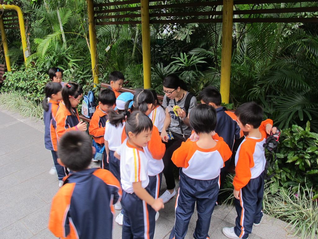 p1%20(12)