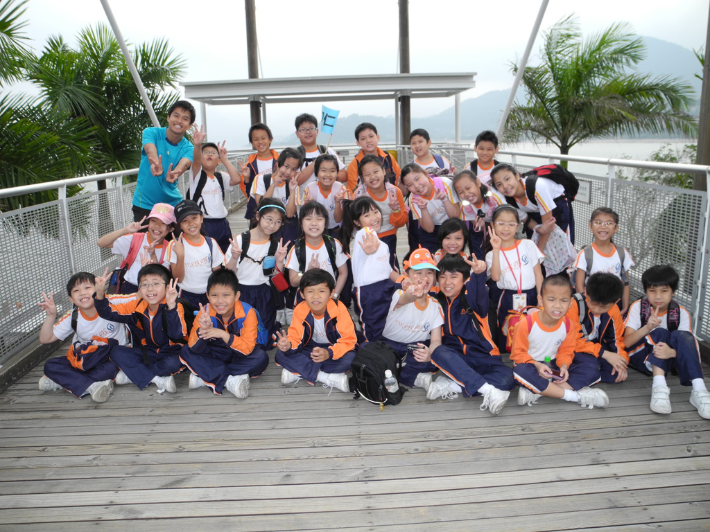 p4_2%20(30)