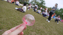 p3%20(42)