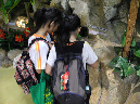 p4_2%20(46)