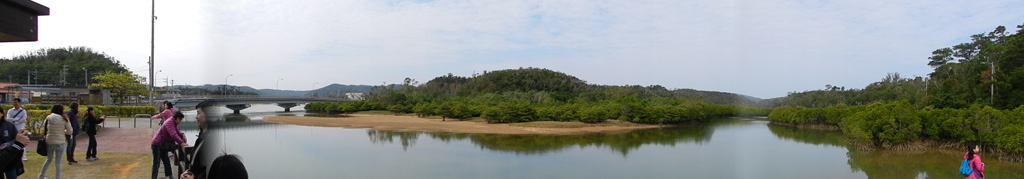 DSCN8256