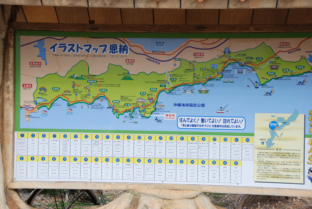 DSCN8256a