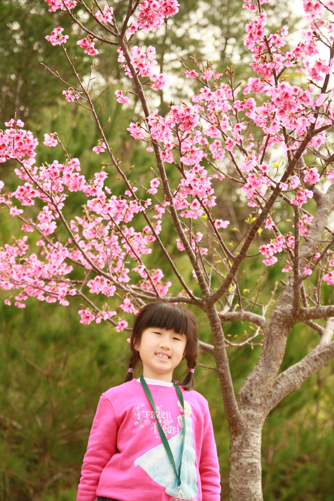DSCN8299