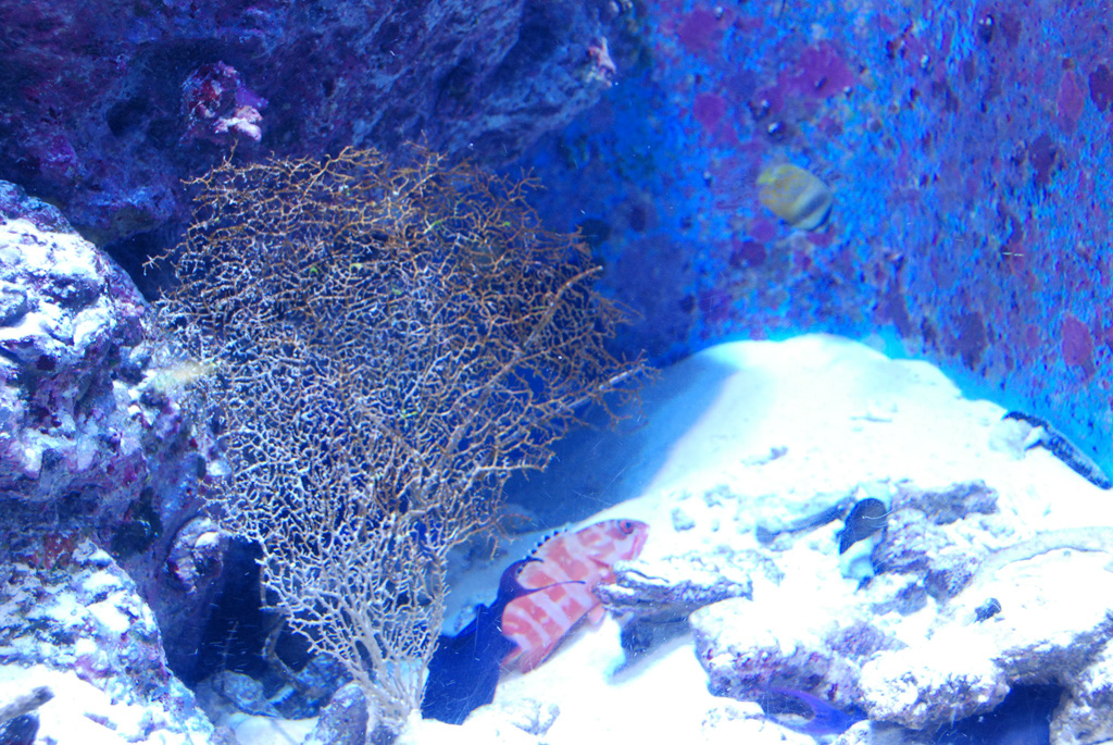 DSCN8330b