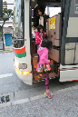 DSCN8254