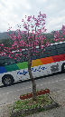DSCN8296