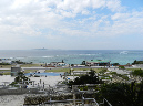 DSCN8317