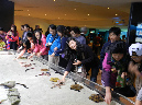 DSCN8324