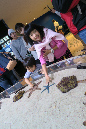 DSCN8329