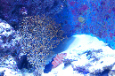 DSCN8330b
