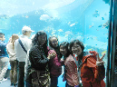 DSCN8332